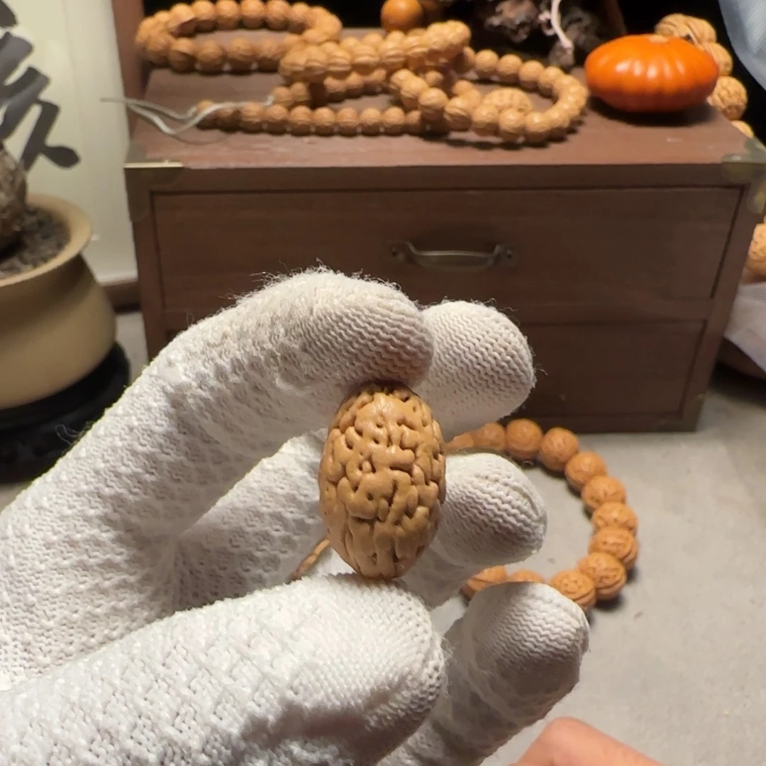 焦***子1.5东北钱袋子“无背”12颗+1备籽。