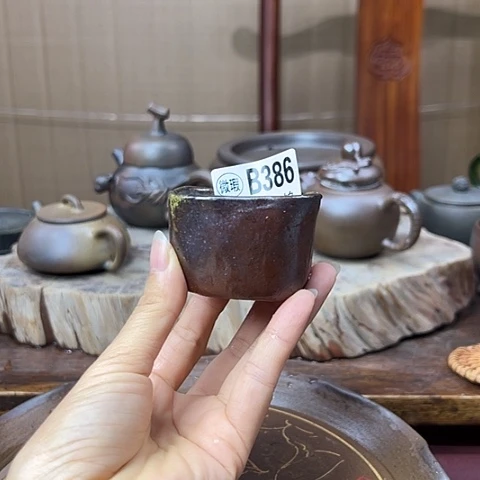 戬谷龙窑坭兴陶柴烧壶386