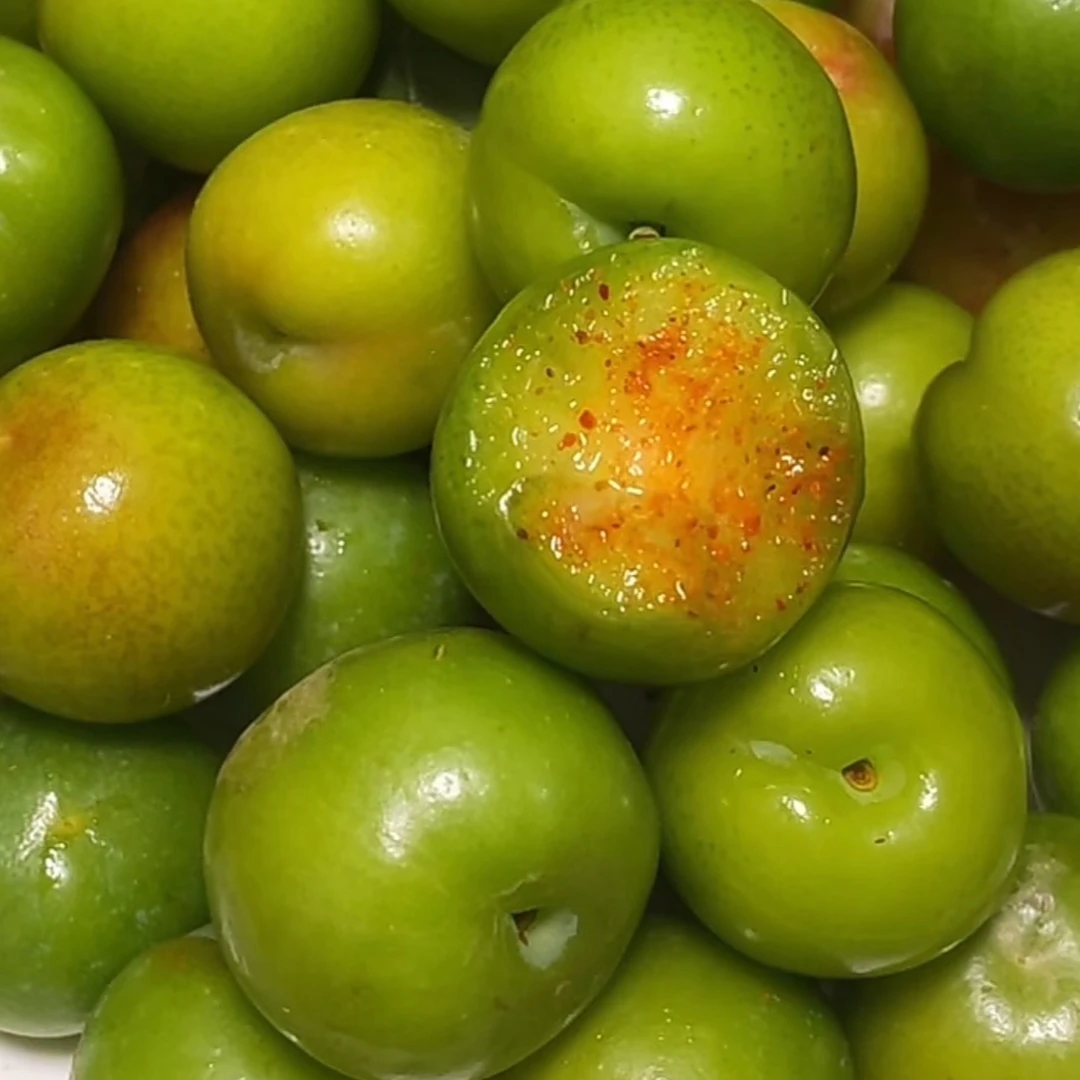 酸脆爽口新鲜三月李应季水果产地直发