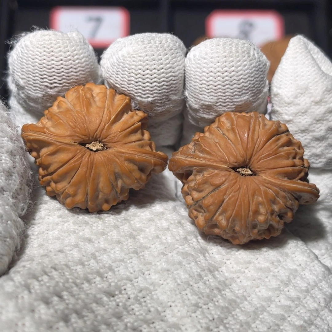 成****文玩核桃吊坠03秦皇岛山地果全品