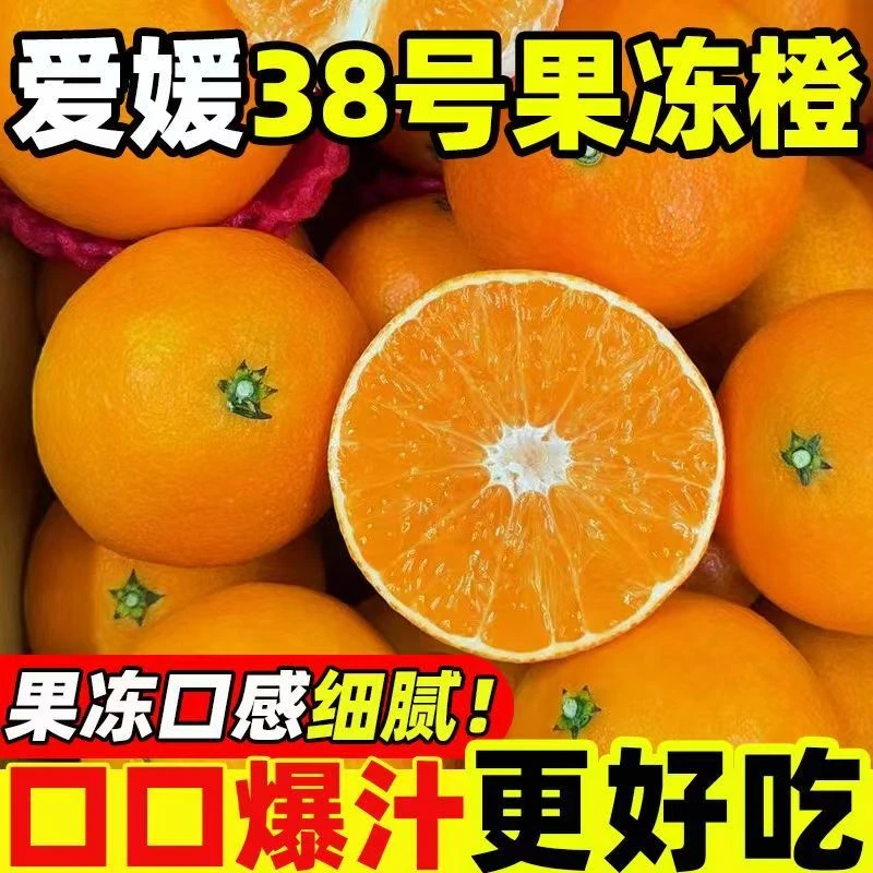 【头茬鲜果】爱媛果冻橙新鲜现摘皮薄多汁香甜可口应季水果