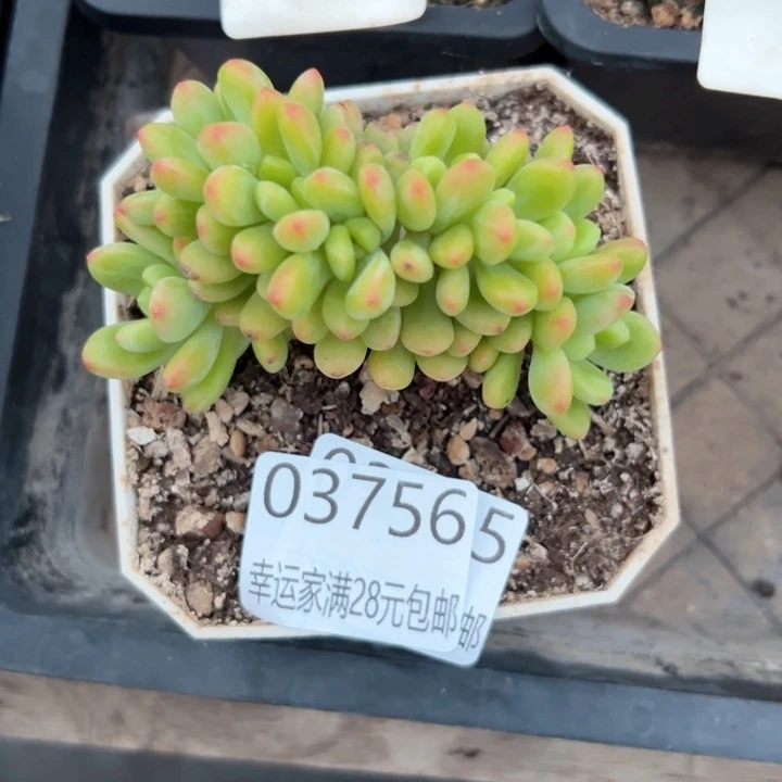 幸运的是我还没遇到