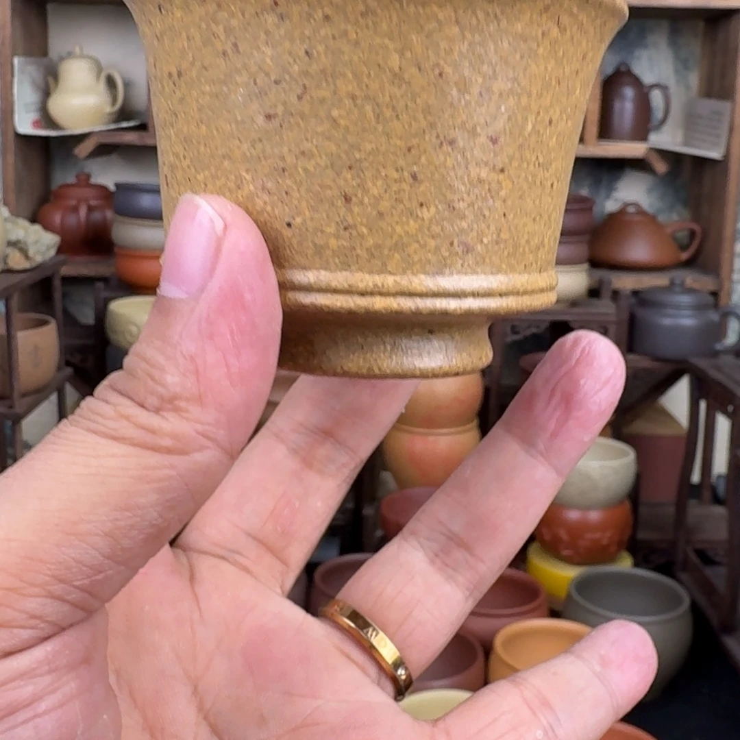 .***芦茶杯紫砂11124474888889923