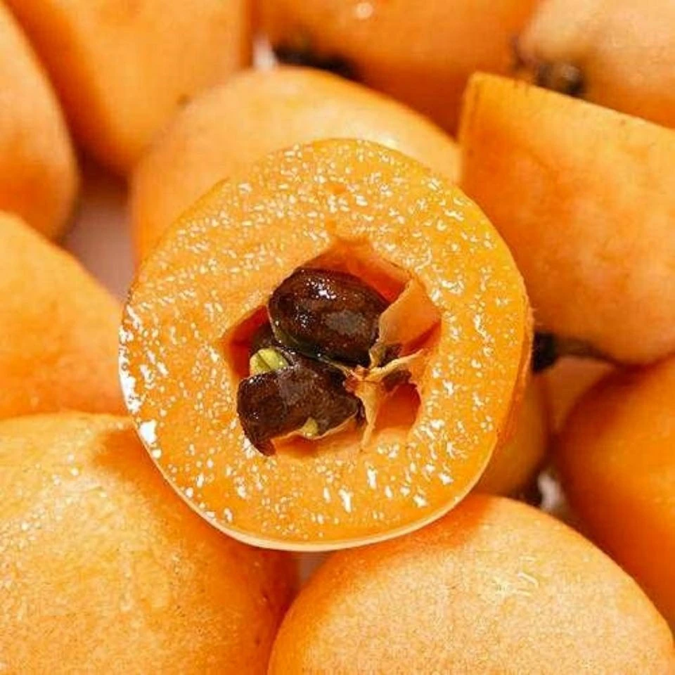 枇杷到手1箱1斤左右包邮送货上楼今天拍明天到