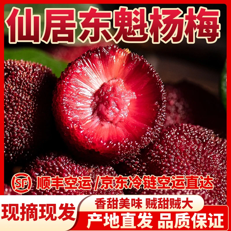 【仙居东魁杨梅】新鲜大果现摘现发氮气包装礼盒当季特级特大果饱满