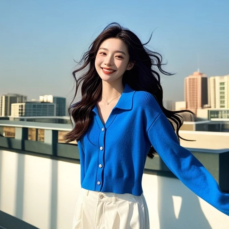 2025早秋新款法式高级感克莱因蓝polo领慵懒风别致独特百搭上衣女