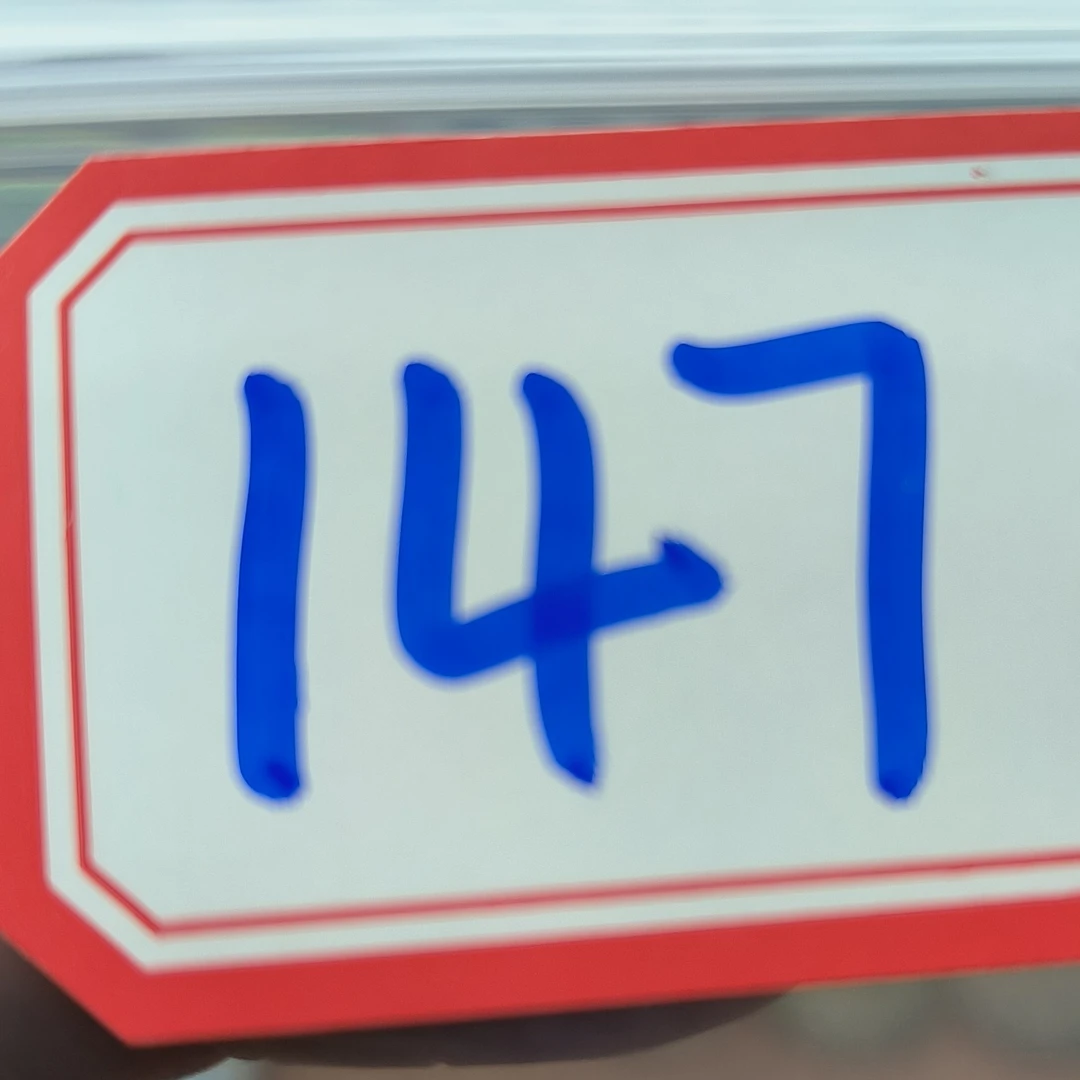 147复古工艺银元