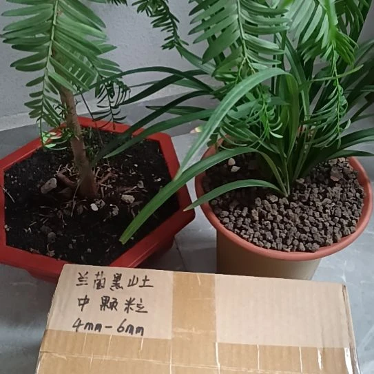好***启兰菌颗粒中颗粒6.6斤