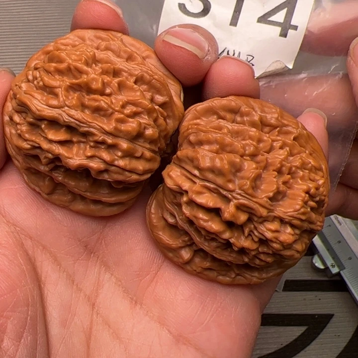 核桃全品四座楼44尺314