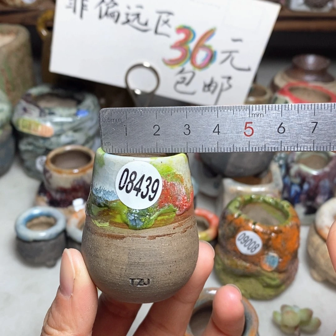 花盆拍5送一个小礼物
