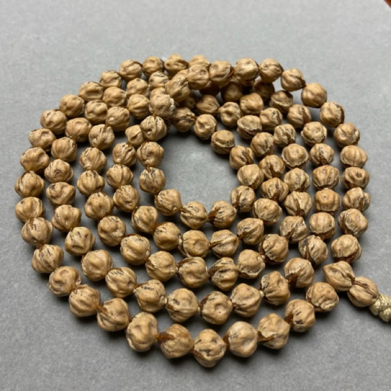 爆肉多棱纯原桩百香籽 红芽油皮