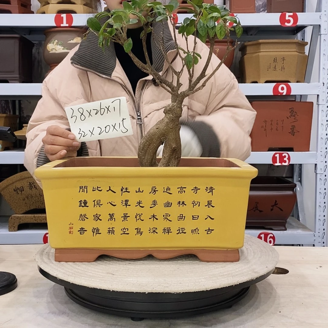 紫砂花盆紫砂花盆