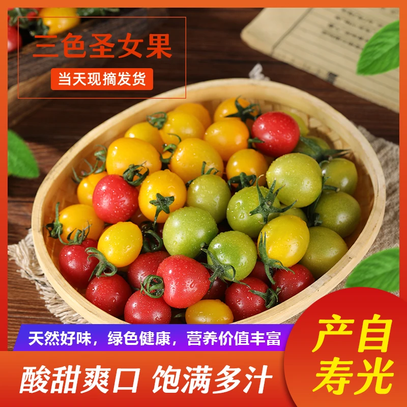 顺丰包邮现摘现发（千禧+青甜+蜜恋）3色混装小番茄圣女果酸甜多汁