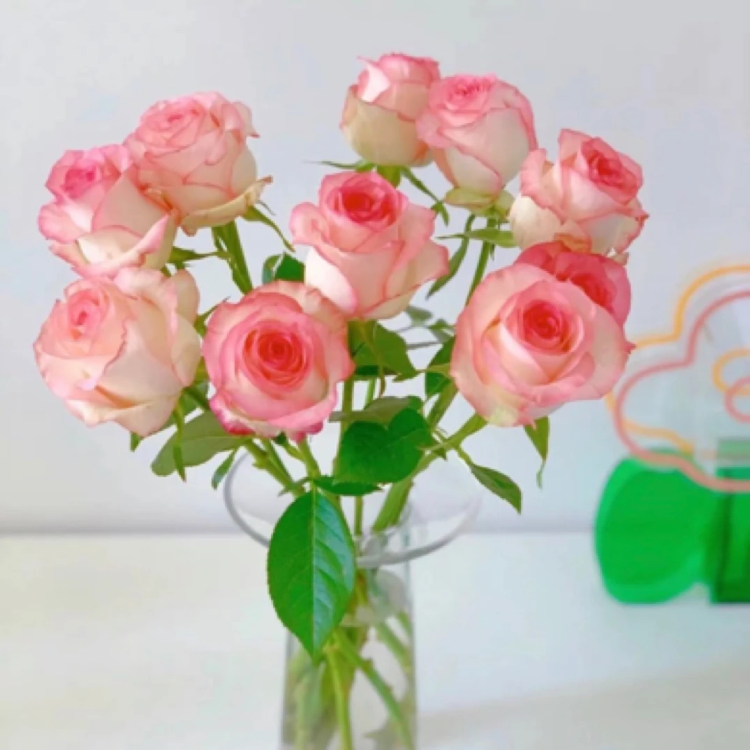 特价【艾莎玫瑰】艾莎玫瑰花次日达包邮到家-全场任意2单送尤加利叶 3单送花瓶