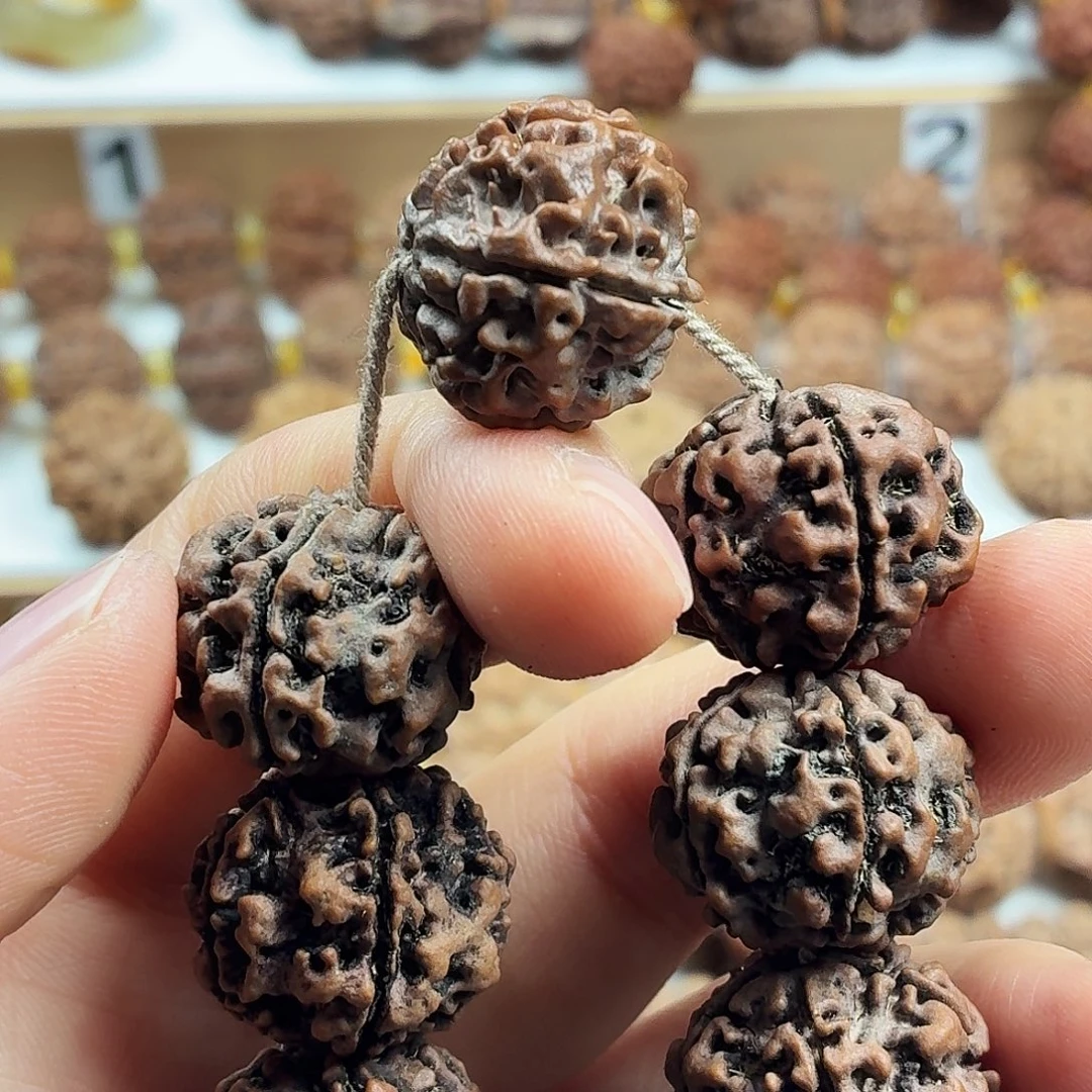 金刚菩提手串精品老梅花蜂窝