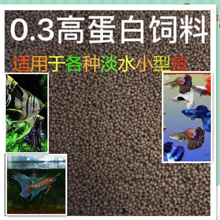 %48以上上浮饲料0.3mm(2cm至成鱼)燕鱼高蛋白观赏鱼饲料增色增艳
