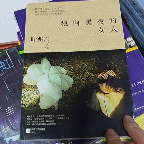 驰向黑夜的女人，叶兆言著作。