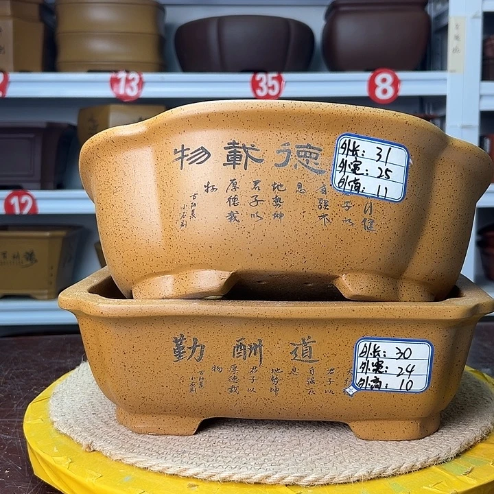 紫砂花盆蛇年大吉