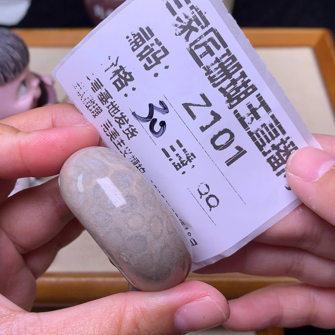 【闪购商品】硅化珊瑚（珊瑚玉）手链未镶嵌博****】Z101