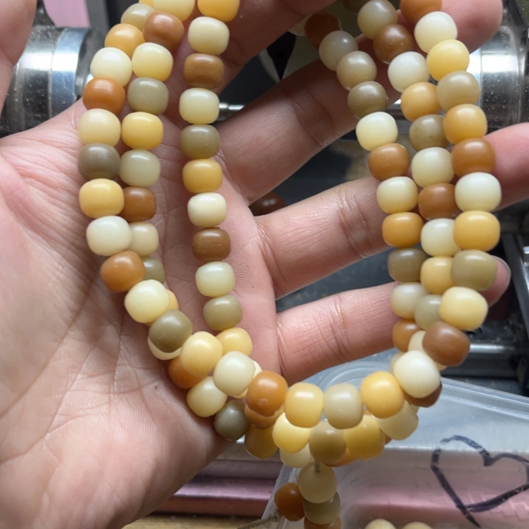 手串菩提根/象牙果