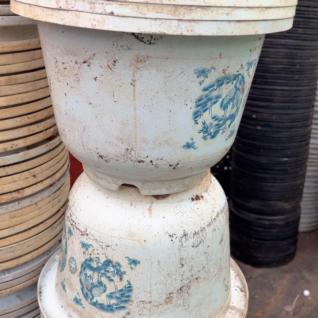 富贵花开盆24外口径17高 5个