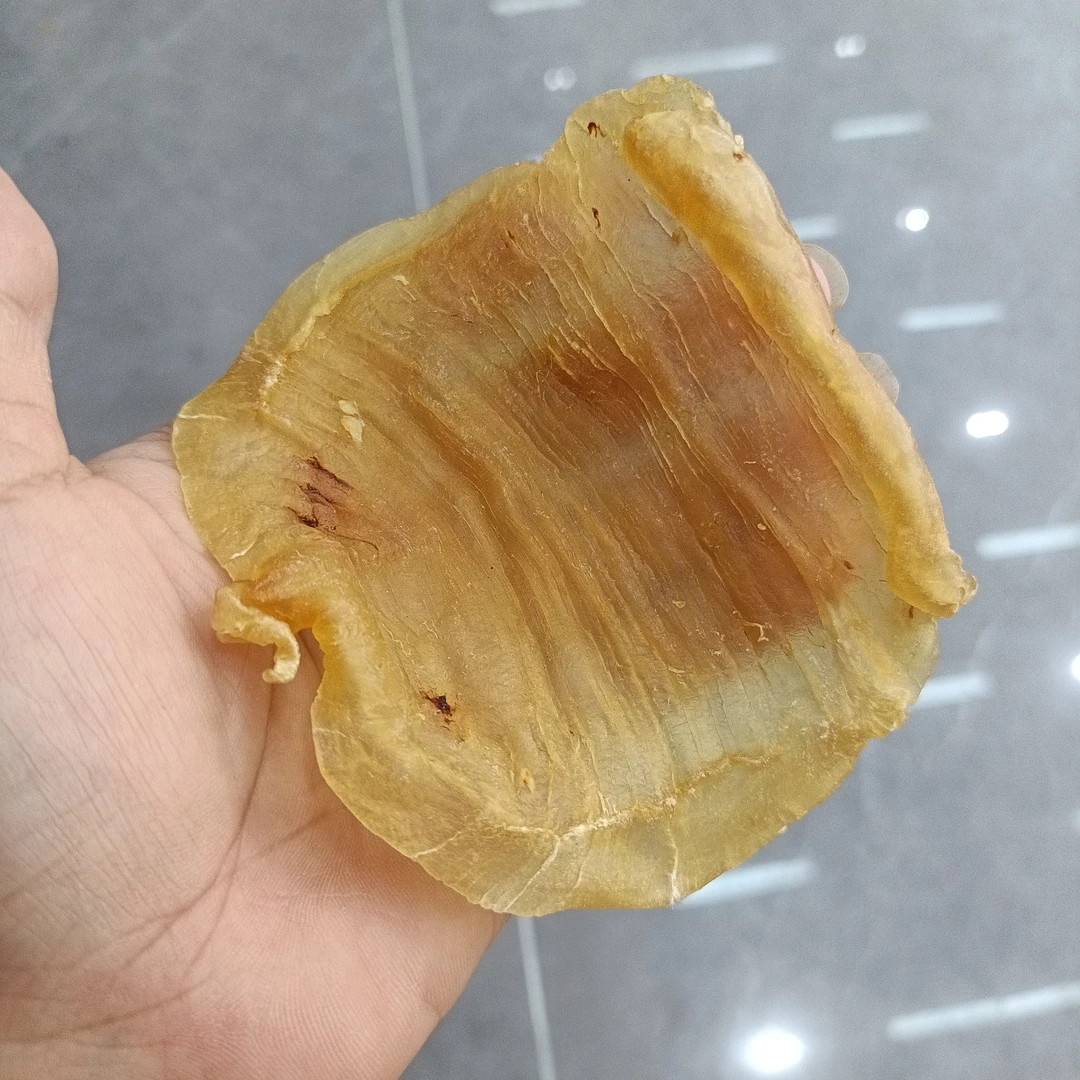 赤嘴母27头规格深海高品质花胶直播间称重