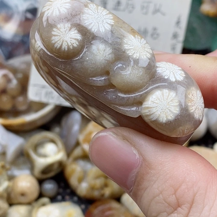 硅化珊瑚（珊瑚玉）未镶嵌颈饰