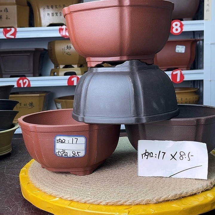 紫砂花盆你在一起