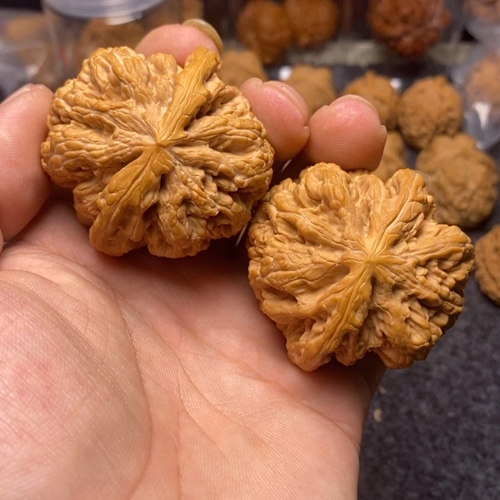 文玩核桃吊坠48大粗筋