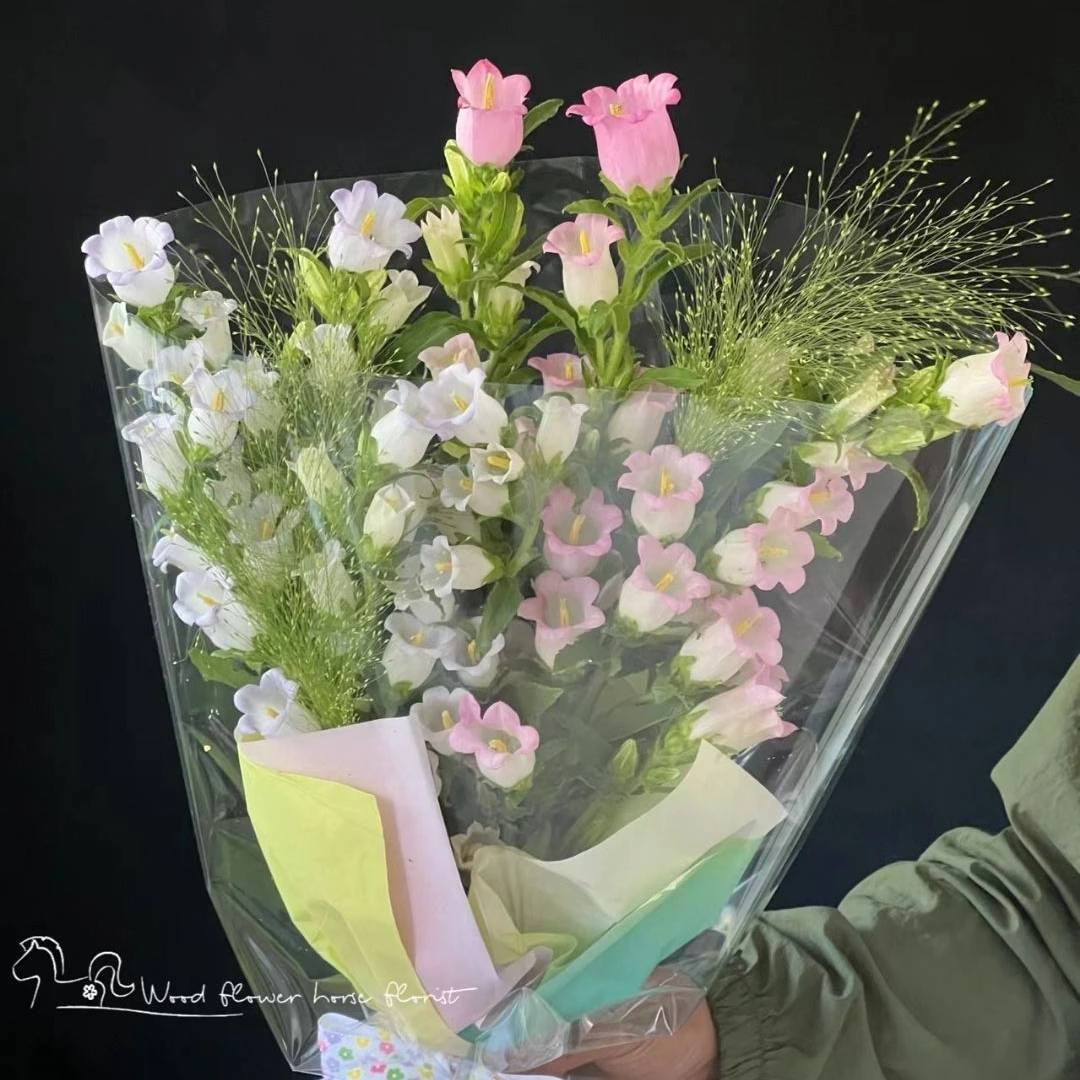 【她会喜欢】9支风铃花小清新花束送闺蜜送女友送花上门