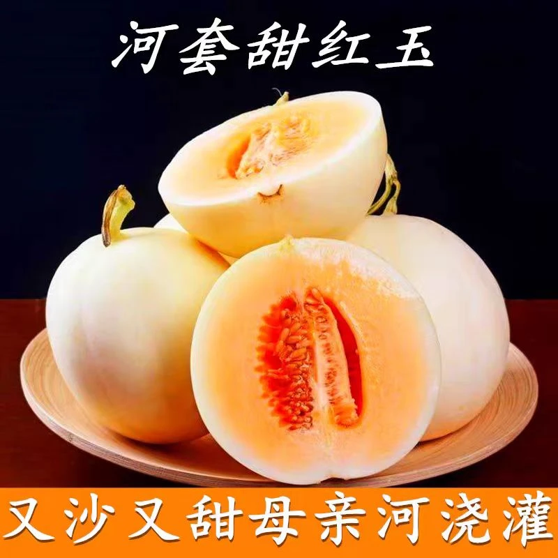 内蒙古红玉甜瓜当季新鲜采摘