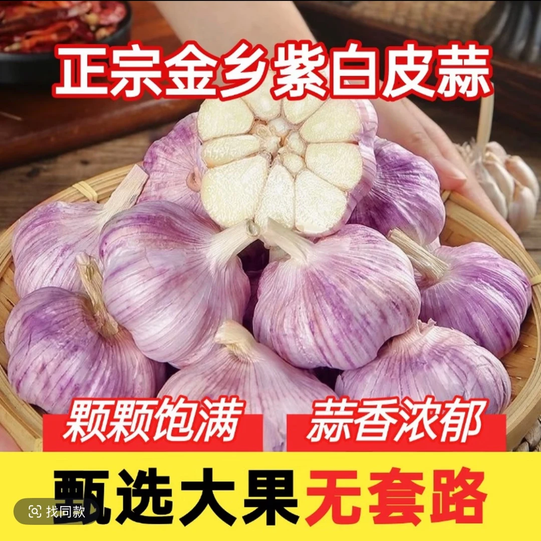紫皮蒜产地直发新鲜2025新蒜99成干干大蒜头