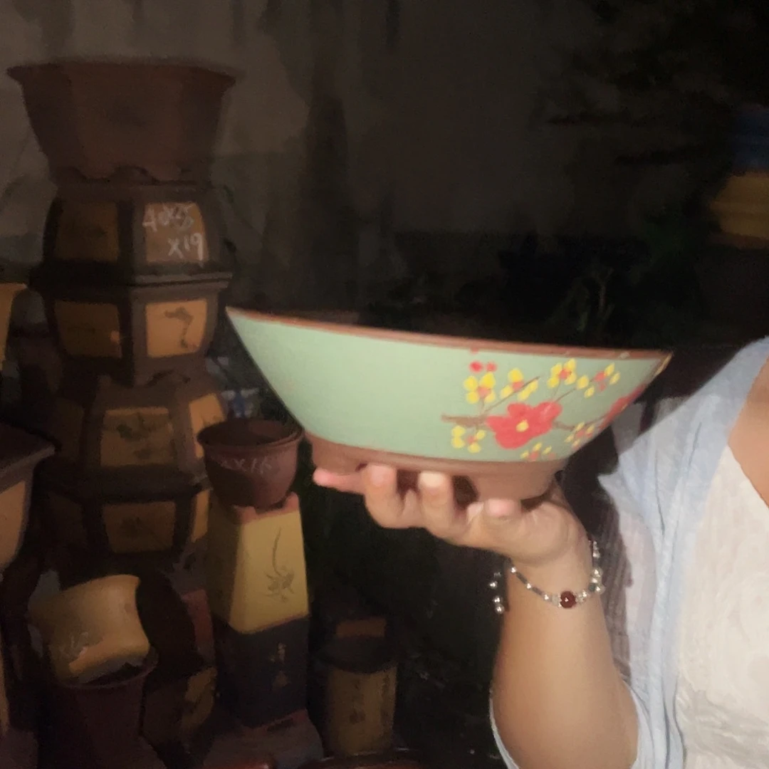 绿斗盆点彩小一个