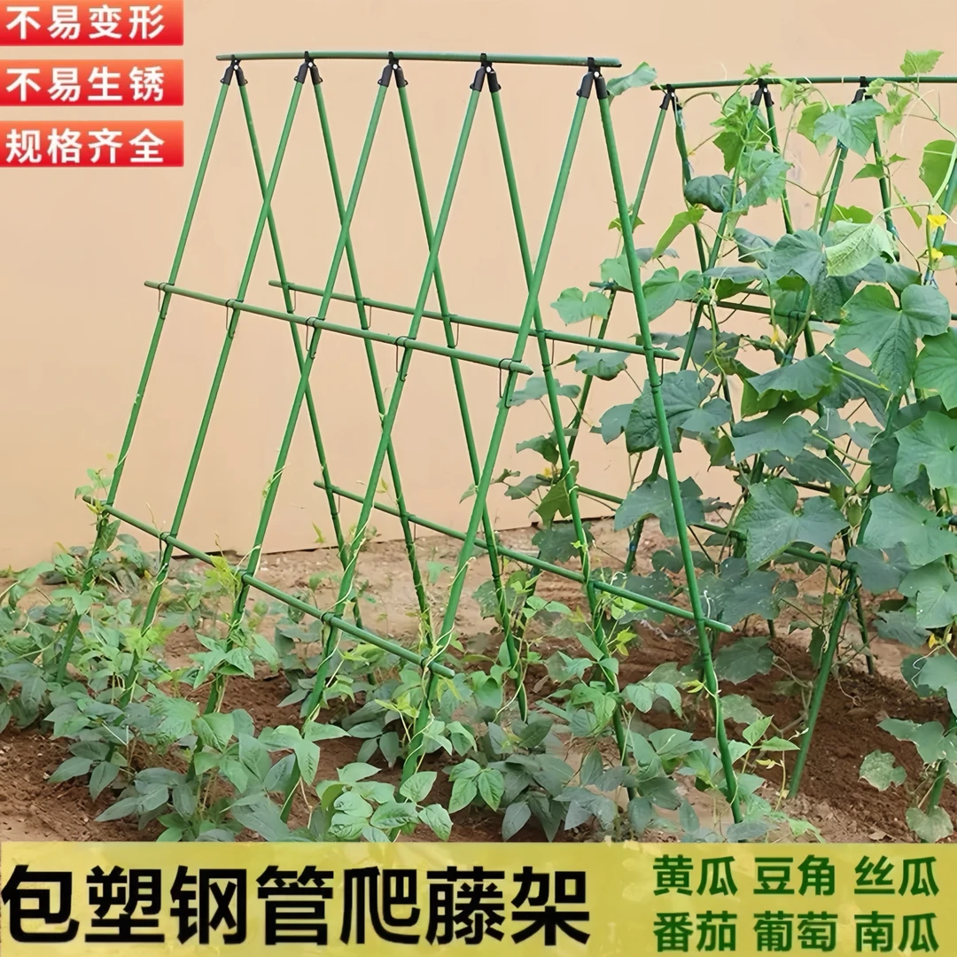 黄瓜架户外种植豆角爬藤架支撑杆包塑钢管蔬菜种植固定支撑杆花卉