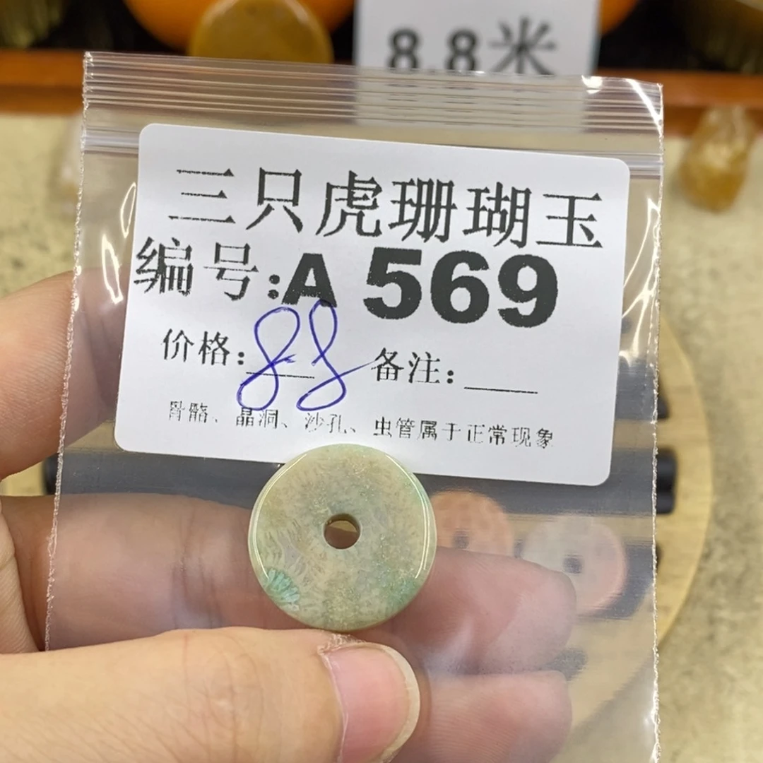 硅化珊瑚（珊瑚玉）1未镶嵌木*里