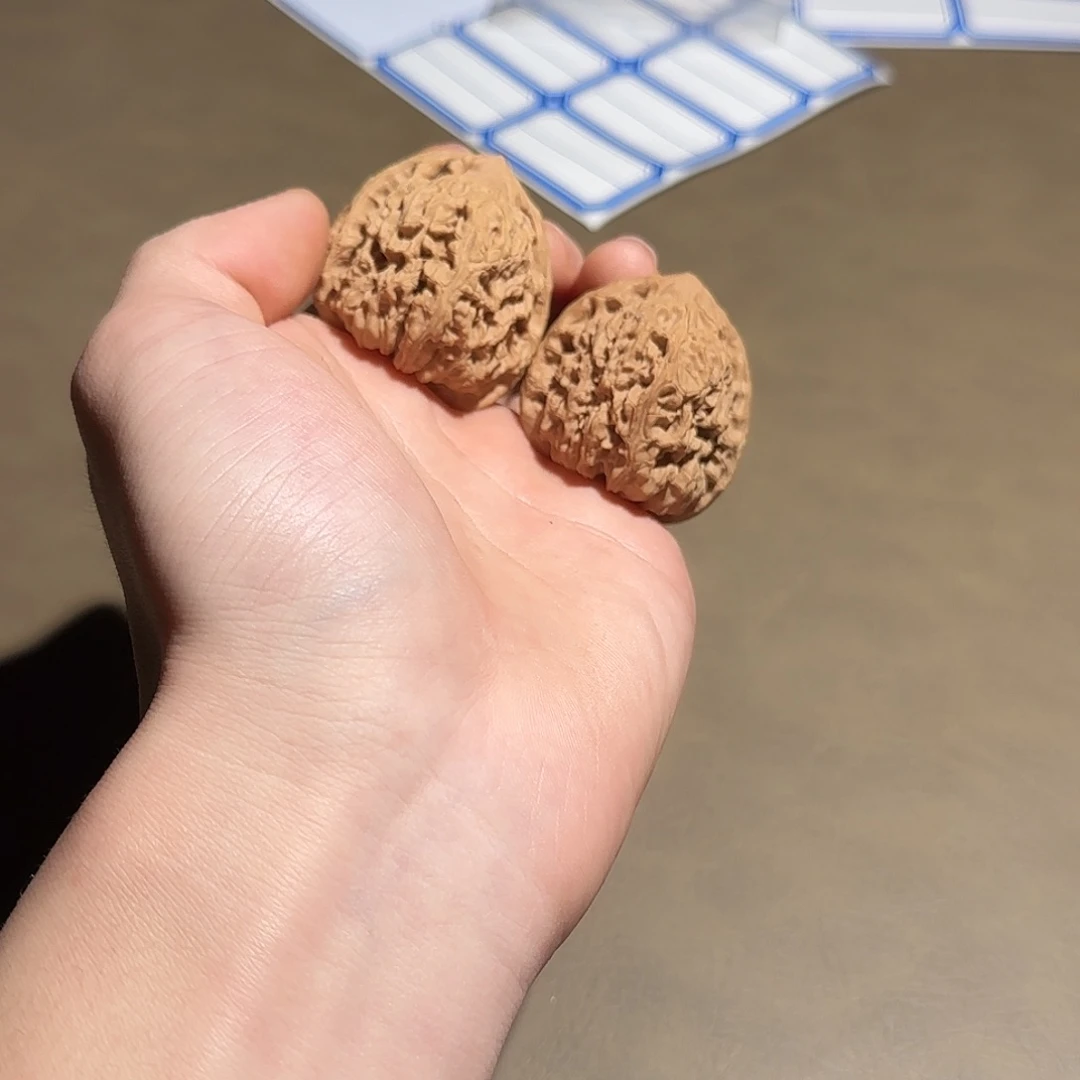 核桃39尺涿鹿一代