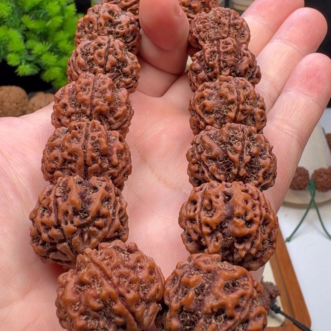 手串金刚菩提大粗筋