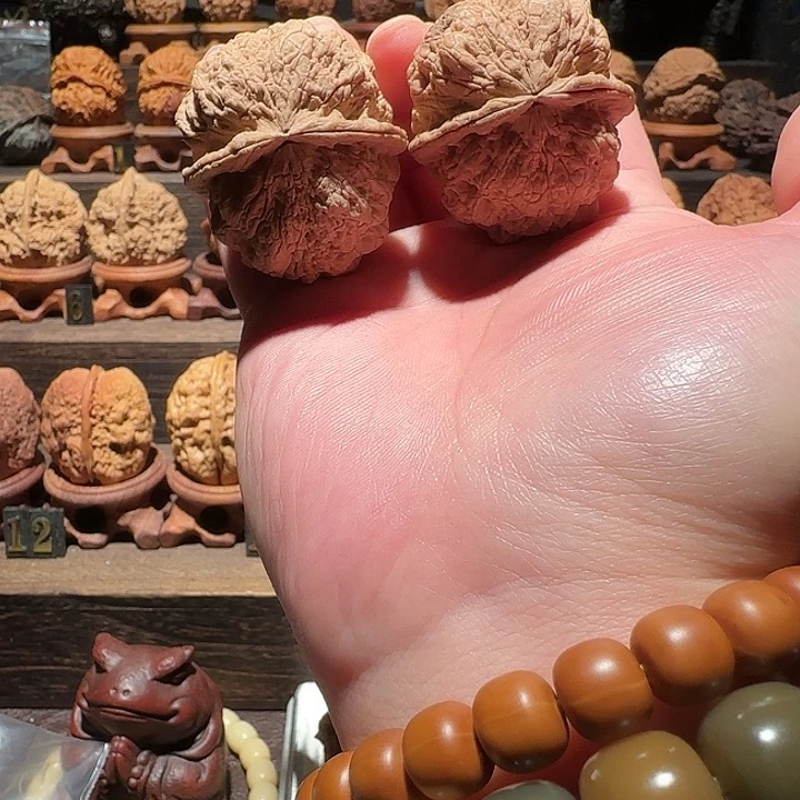 忘****核桃金刚佛手43尺云铁