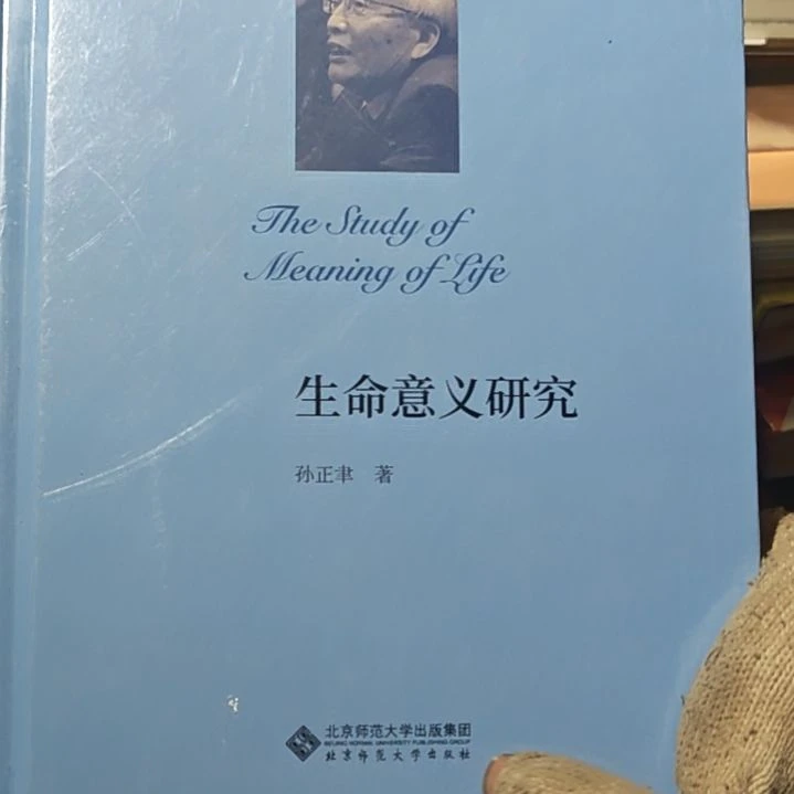 生命意义研究精装塑封库存书