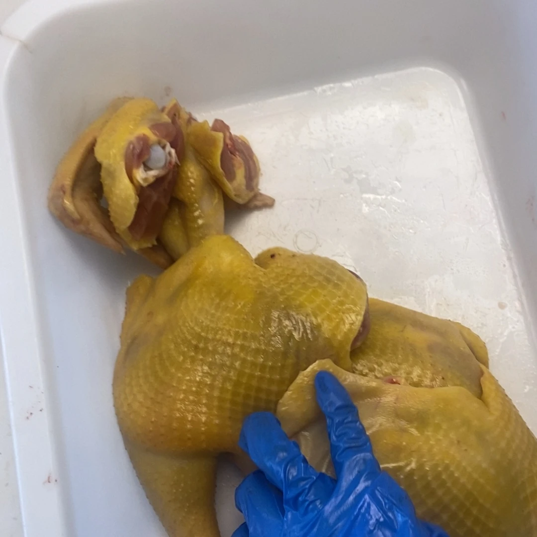 30天包装鸡腿00130