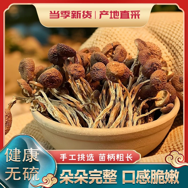 2025西峡农家茶树菇干货甄选不开伞切根新鲜茶薪菇香菇蘑菇