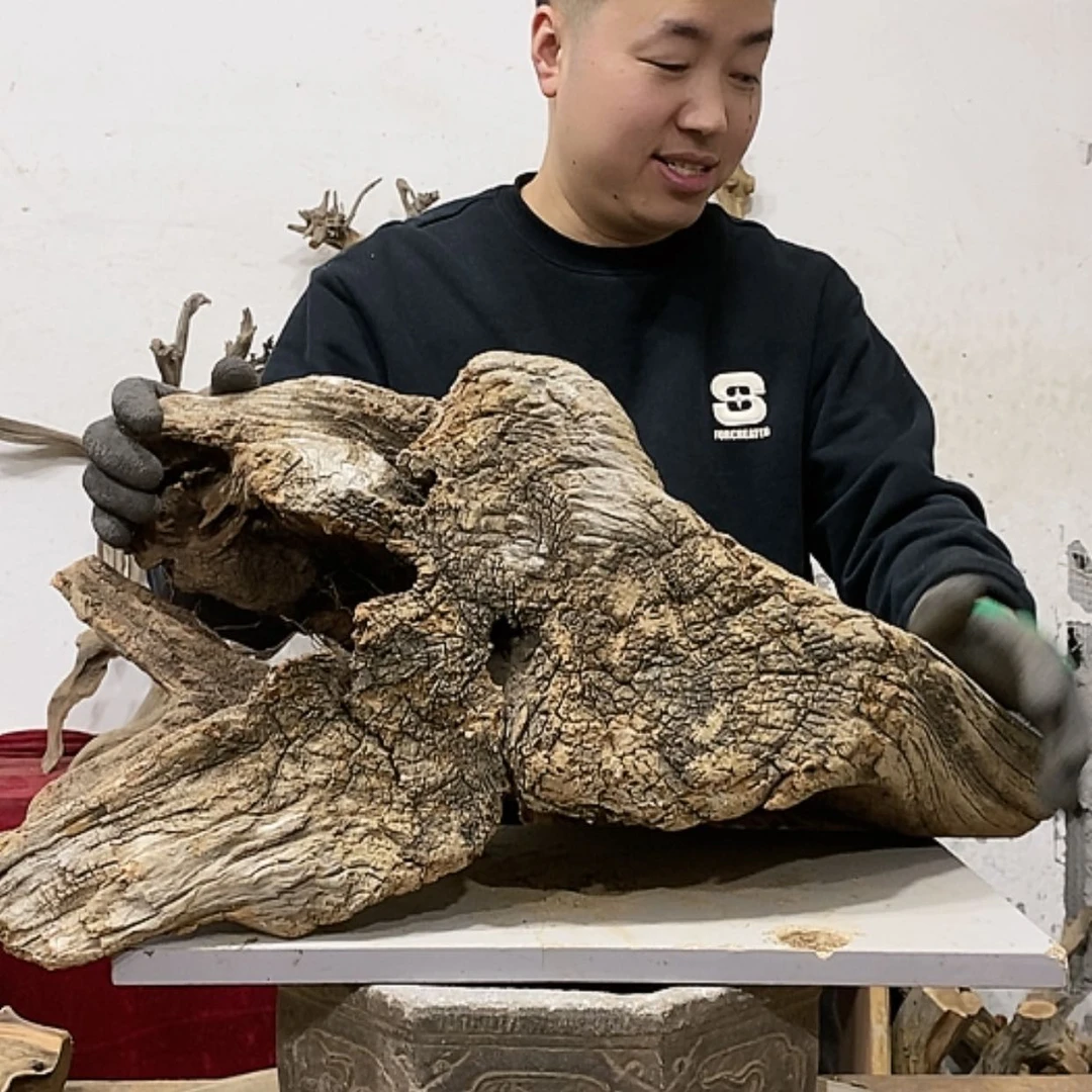 【闪购商品】柏木展****）我们都是好孩子