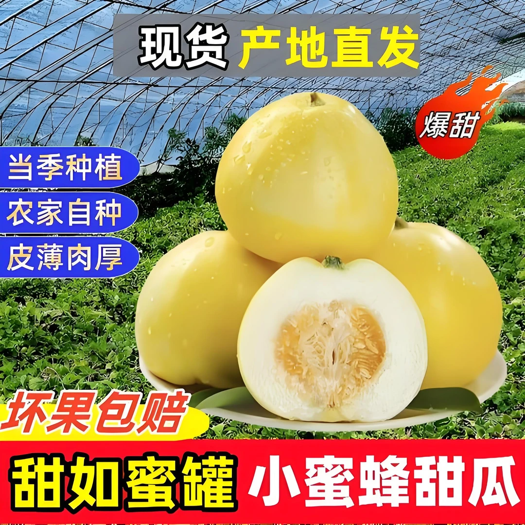 京东包邮山东头茬星甜20小蜜蜂甜瓜新鲜脆甜多汁当季水果