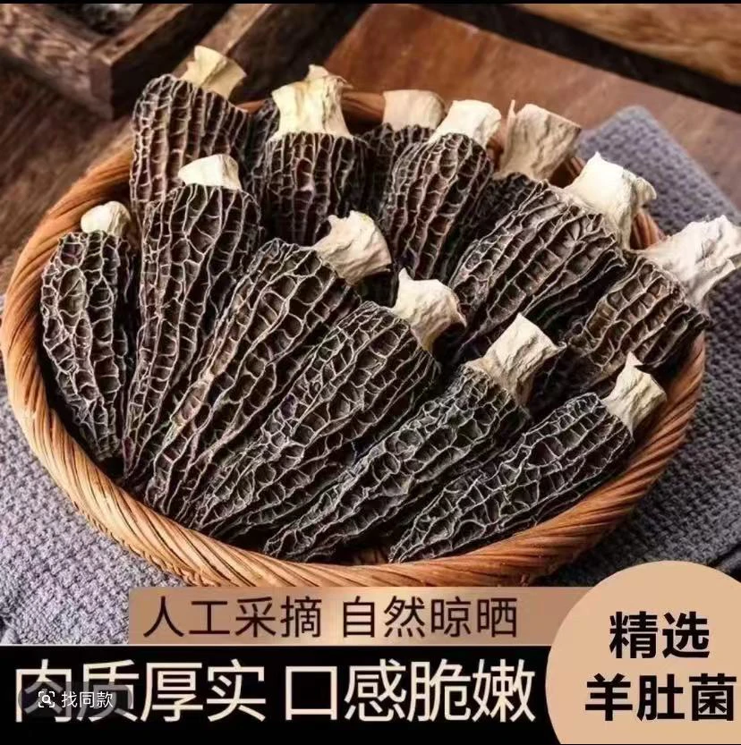 头茬高山优质羊肚菌健康美味好食材