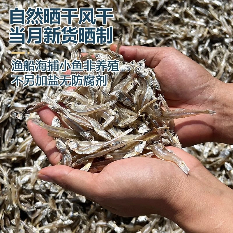 北海自晒小鱼干公干鱼小鱼干干货海鲜干货海燕鱼小鱼干咸鱼干鱼仔