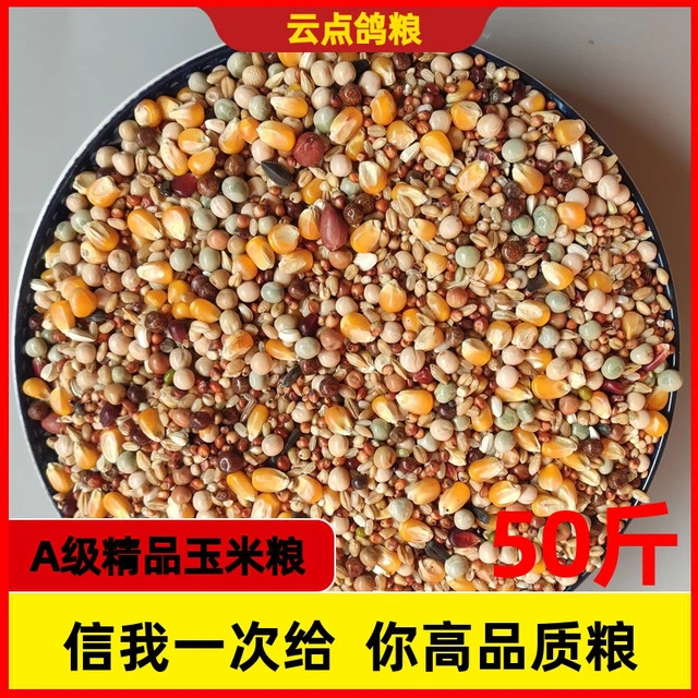 鸽粮50斤包邮玉米粒红高粱稻谷幼鸽信鸽鸽子通用粮食10斤20斤鸽粮