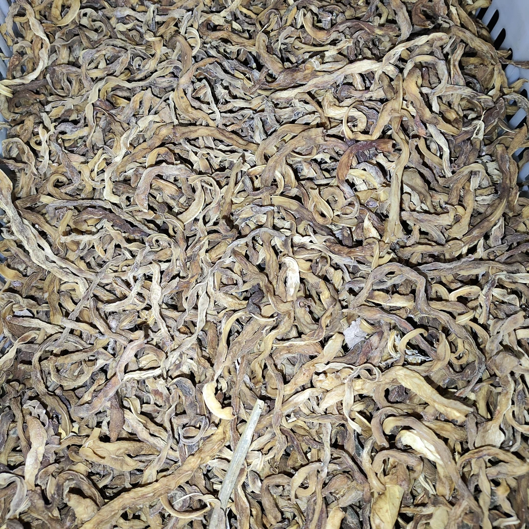 邯郸冀南自家晾晒干豆角 炖肉 炒肉 包饺子蒸包子