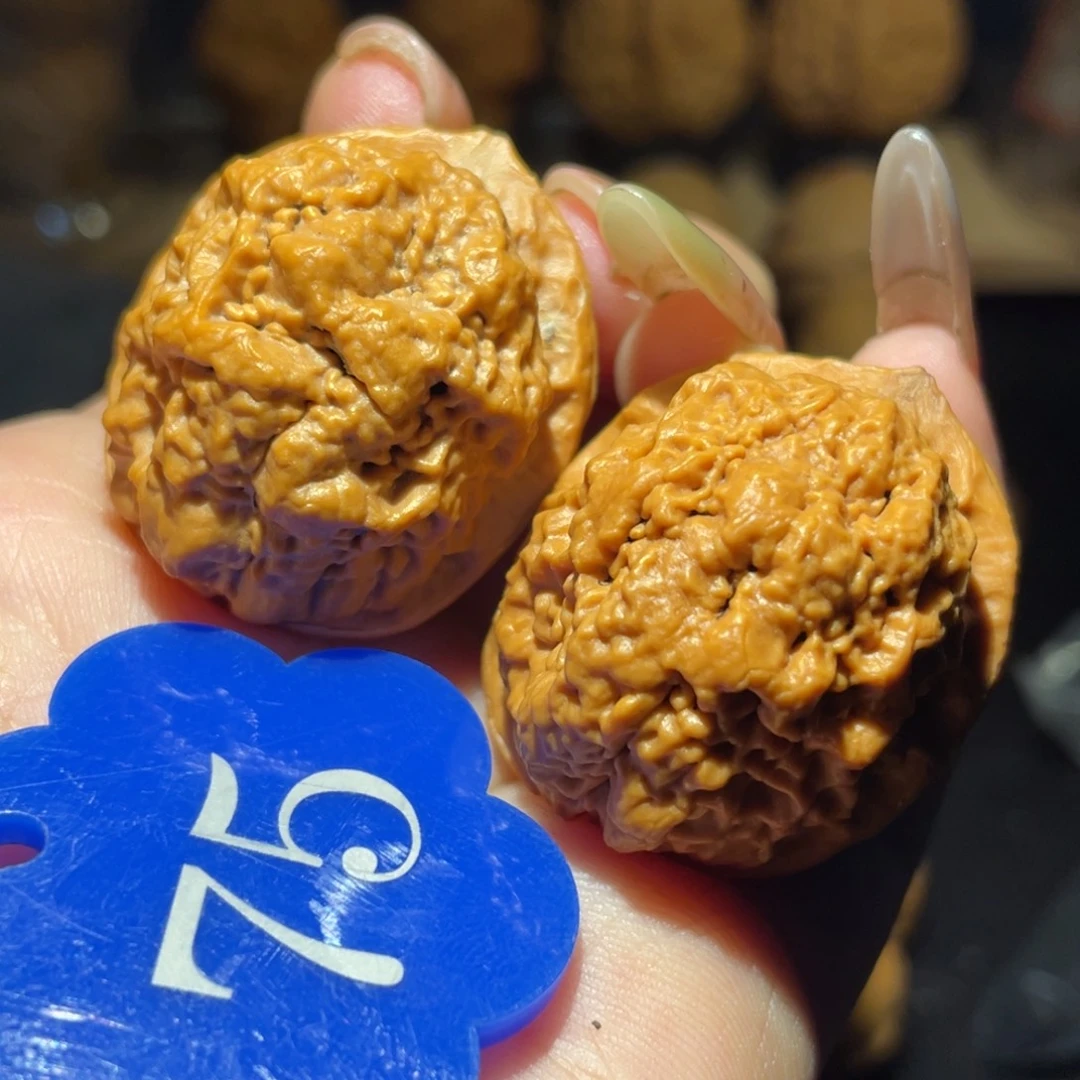 小百花34尺寸核桃