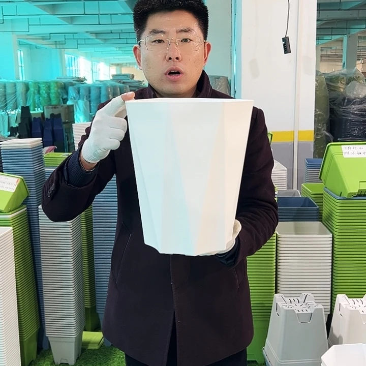 清仓fc245口24高29白色4只无托