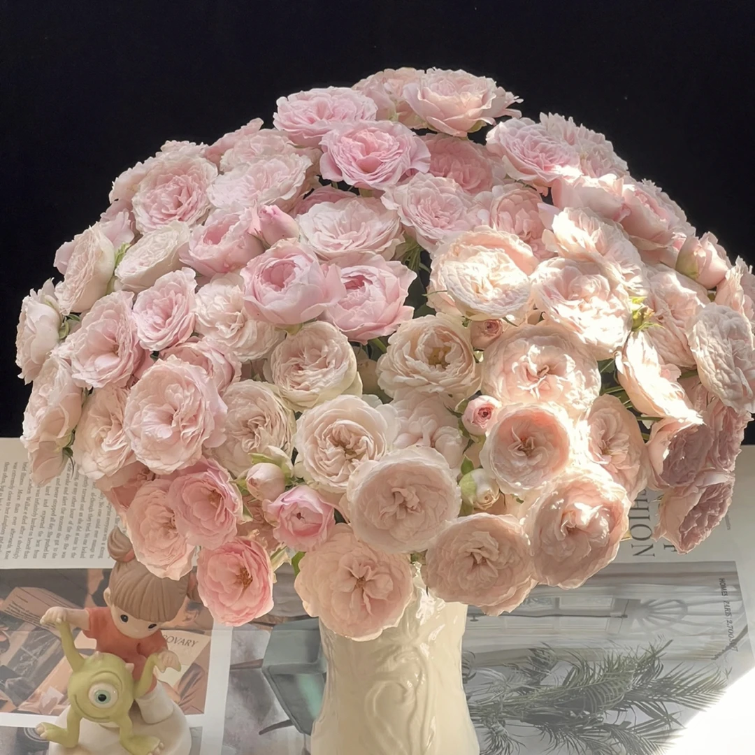 小老弟专属 仙子之吻-多头玫瑰（任意两单包邮，一单需要补运费）